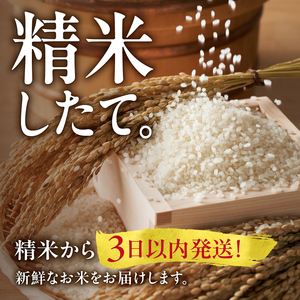 【定期便全6回】令和6年産 うりゅう米  ななつぼし 玄米 10kg（5kg×2袋）毎月1回お届け お米 米 ごはん ご飯 6ヶ月 連続お届け 定期便 特A 新米 単一原料米 お弁当 国産 人気 おすすめ kome 雨竜町