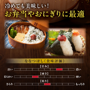 【定期便全6回】令和6年産 うりゅう米  ななつぼし 玄米 10kg（5kg×2袋）毎月1回お届け お米 米 ごはん ご飯 6ヶ月 連続お届け 定期便 特A 新米 単一原料米 お弁当 国産 人気 おすすめ kome 雨竜町