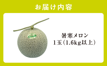 【令和6年産先行受付】北海道産 暑寒メロン 1玉 (1.6kg以上×1箱) 《2024年7月より発送予定》