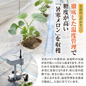 北海道産 暑寒メロン 4～5玉 (8kg以上×1箱) 2026年7月発送青肉 果物 フルーツの王様 春 夏 秋 冬 御中元  フルーツ 生ハム パフェ ケーキ デザート ピューレ めろん さっぱりした甘み お取り寄せ 北海道 雨竜町