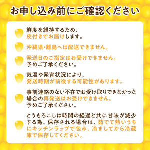 とうもろこし サニーショコラ Lサイズ 10本 とうもろこし とうもろこし 2026年8月発送 北海道産 とうきび トウモロコシ