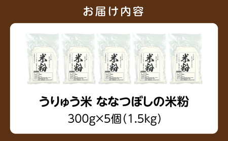北海道 雨竜町産 うりゅう米 ななつぼし 米粉 （300g×5個）