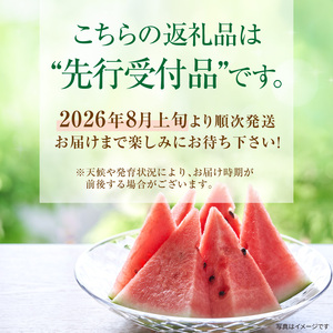 【関東地方までの配送】北海道雨竜町産 小玉スイカ 「マダーボール」2玉 赤肉 スムージー スイカ割り 糖度高め 夏 キャンプ ピューレ 海水浴 すいか 西瓜 甘い 果物 フルーツ 産地直送 お取り寄せ 北海道 雨竜町