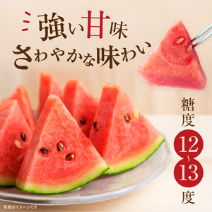 【関東地方までの配送】北海道雨竜町産 小玉スイカ 「マダーボール」2玉 赤肉 スムージー スイカ割り 糖度高め 夏 キャンプ ピューレ 海水浴 すいか 西瓜 甘い 果物 フルーツ 産地直送 お取り寄せ 北海道 雨竜町