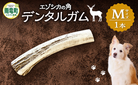 【数量限定】エゾシカの角デンタルガムMサイズ(中型犬向け)