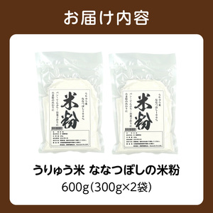 北海道産 米粉 600g 300g×2個 うりゅう米 ななつぼし