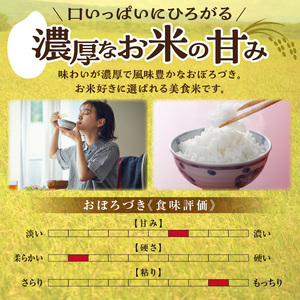 令和6年産 川越さんちの おぼろづき 5kg (5kg×1袋) 雨竜産 おぼろづき 精米 5kg お米 おにぎり お弁当 お取り寄せ 北海道 雨竜町