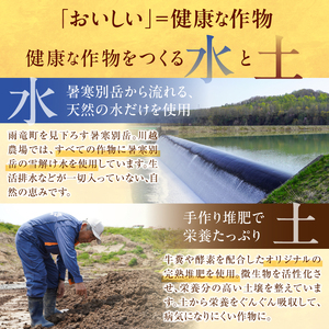 令和7年産 川越さんちの おぼろづき 10kg (5kg×2袋) 雨竜産 おぼろづき 精米 10kg お米 おにぎり お弁当 お取り寄せ 北海道 雨竜町