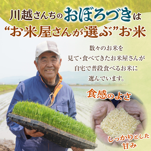 令和7年産 川越さんちの おぼろづき 10kg (5kg×2袋) 雨竜産 おぼろづき 精米 10kg お米 おにぎり お弁当 お取り寄せ 北海道 雨竜町