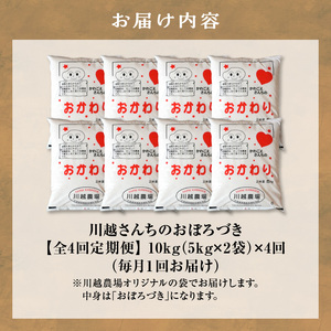 【定期便全4回】令和6年産 川越さんちの おぼろづき　10kg（5kg×2袋）毎月1回お届け 雨竜産 おぼろづき 精米 定期便 10kg お米 おにぎり お弁当 お取り寄せ 北海道 雨竜町