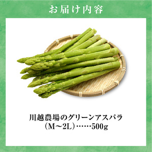 【先行受付】令和7年産 朝採りグリーンアスパラ   500g＜ 川越農場 ＞野菜 春 夏 北海道アスパラ 雨竜町産 パスタ サラダ スープ 旬 やわ旨