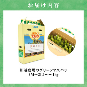 【先行受付】令和7年産 朝採りグリーンアスパラ  1kg＜ 川越農場 ＞野菜 春 夏 北海道アスパラ 雨竜町産 パスタ サラダ スープ 旬  やわ旨