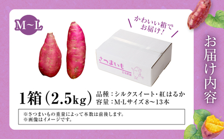 さつまいも サツマイモ  紅はるか シルクスイート 食べ比べ 2.5kg  M-Lサイズ