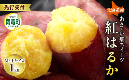 北海道産 さつまいも 紅はるか Ｍ-Ｌサイズ 3～6本 1kg さつまいも 芋