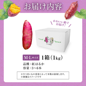 北海道産 さつまいも 紅はるか Ｍ-Ｌサイズ 3～6本 1kg さつまいも 芋