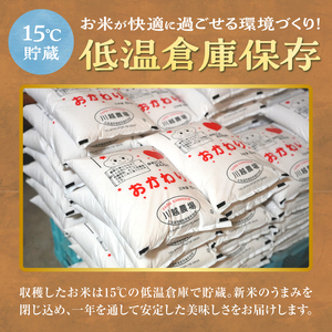 【定期便全12回】令和7年産 川越さんちの おぼろづき 玄米 5kg (5kg×1袋)