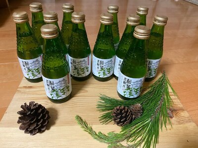 信州高遠産赤松:松葉炭酸水180ml×6本2箱 | 長野県 伊那市 松葉健康法 松葉 高遠 高遠里山の風 里山 再生 保全 松 松葉 炭酸 森林浴 信州 長野県産【019-07】