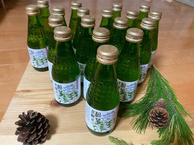 信州高遠産赤松:松葉炭酸水180ml×6本3箱 | 長野県 伊那市 松葉健康法 松葉 高遠 高遠里山の風 里山 再生 保全 松 松葉 炭酸 森林浴 信州 長野県産 【027-03】
