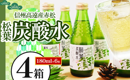 信州高遠産赤松:松葉炭酸水180ml×6本4箱 | 長野県 伊那市 松葉健康法 松葉 高遠 高遠里山の風 里山 再生 保全 松 松葉 炭酸 森林浴 信州 長野県産 【036-08】