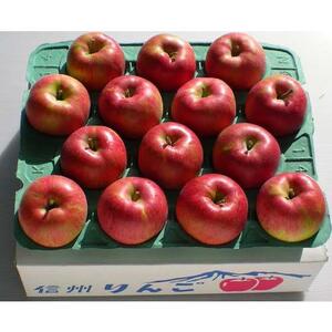 先行受付 令和8年産 有機肥料栽培 りんご ふじ 約5kg【011-05】