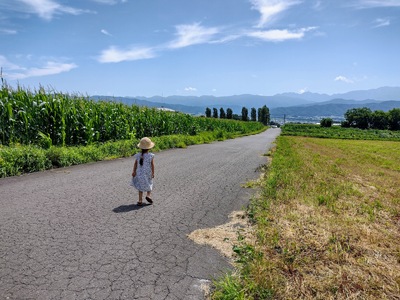 酵素玄米おむすび （伊那市産米） おまかせバラエティ 14個セット （冷凍）｜おむすび おにぎり 酵素 酵素玄米 玄米 伊那市産米 伊那市 又三郎 おむすび【013-06】