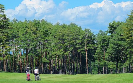 【030-19】信州伊那国際ゴルフクラブ ゴルフ場利用補助券