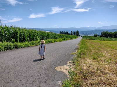 おにぎり 酵素玄米 おむすび 伊那市産米 プレーン 7個 ＆ バラエティ 7個 セット 冷凍 【012-62】