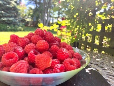 ジャム ベリー 信州 伊那産 完熟 ラズベリー ジャム 200g 2個 セット | フルーツ ジャム ソース ラズベリー 完熟 つみたて 加工品 長野県 伊那市【009-45】