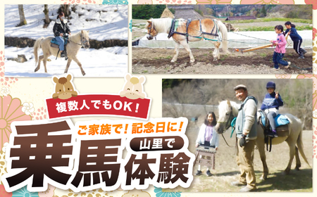里山で乗馬体験(馬のブラシがけと乗馬でむらをお散歩)1人から5人まで可能【055-12】