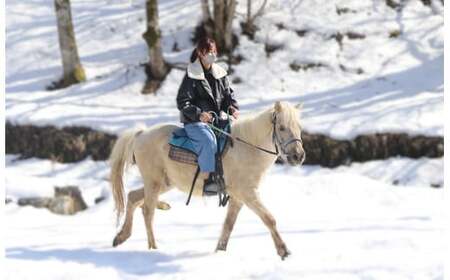 里山で乗馬体験(馬のブラシがけと乗馬でむらをお散歩)1人から5人まで可能【055-12】