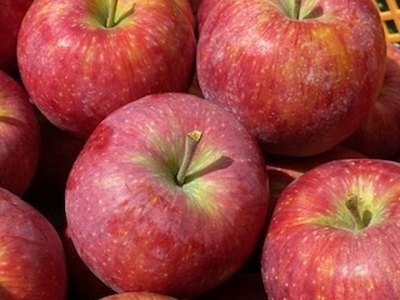 りんご 信州産の夏りんご 美味しさNO.1 さわやかな酸味 シナノリップ 約4kg 【012-64】