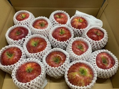 りんご 信州産の夏りんご 美味しさNO.1 さわやかな酸味 シナノリップ 約4kg 【012-64】