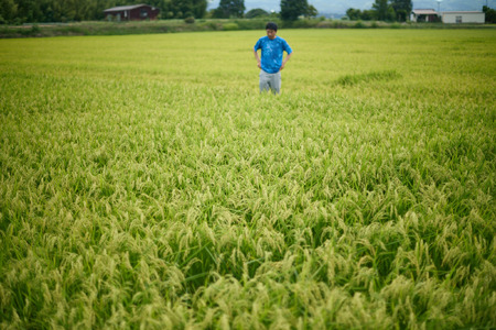 井乃頭　純米吟醸　無濾過生　R6BY（吟醸生酒）｜長野県産 日本酒 ひとごこち 地酒 吟醸生酒 地元限定酒 ふるさと納税 晩酌 アルコール 伊那市 ふるさと納税【011-94】
