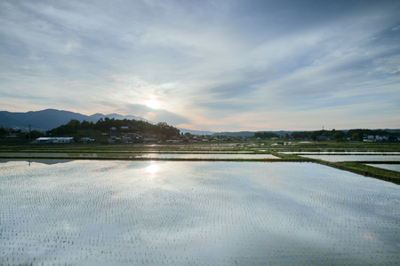 井乃頭　純米吟醸　無濾過生　R6BY（吟醸生酒）｜長野県産 日本酒 ひとごこち 地酒 吟醸生酒 地元限定酒 ふるさと納税 晩酌 アルコール 伊那市 ふるさと納税【011-94】