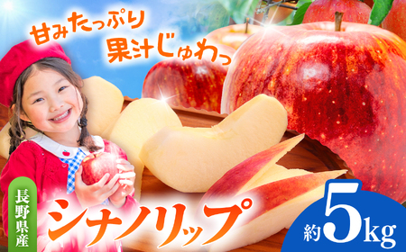 先行受付 令和8年度産 シナノリップ（夏りんご） 約5kg 【012-35】