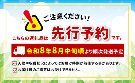 先行受付 令和8年度産 シナノリップ（夏りんご） 約5kg 【012-35】