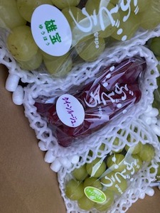 【2026年先行予約】信州伊那産ぶどう3種食べ比べセット(約1.5kg)シャインマスカット クイーンルージュ(R) 雄宝|ぶどう ぶどう詰合せ 葡萄 セット ぶどう食べ比べ 2種セット シャインマスカット クイーンルージュ 雄宝 種なし ぶどう高級 フルーツ ギフト フルーツ 旬のフルーツ 伊那市 長野県産 【024-18】