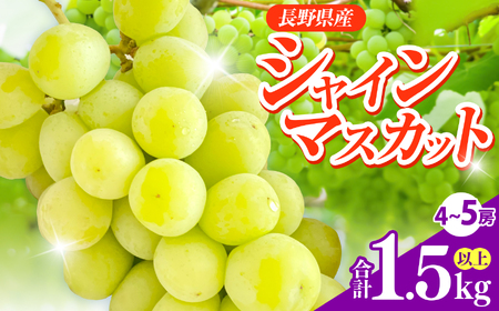 信州伊那産ぶどう シャインマスカット(1.5kg)|ぶどう 葡萄 シャインマスカット 種なし ぶどうフルーツ ギフト フルーツ 旬のフルーツ 伊那市 長野県産 【015-42】