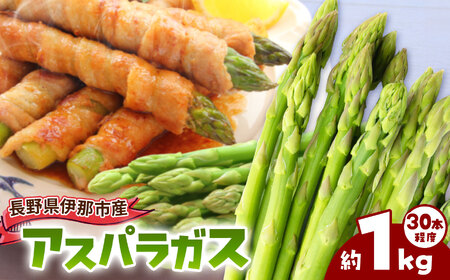 アスパラ 伊那市産 アスパラガス 約1kg Lサイズ 約30本 【013-49】