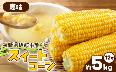 とうもろこし 伊那市産 スイートコーン 約5kg 2Lサイズ 12本入り 恵味 めぐみ 【013-52】