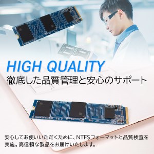 【023-03】ロジテック 内蔵SSD M.2 NVMe対応 256GB データ移行ソフト付【LMD-MPB256】
