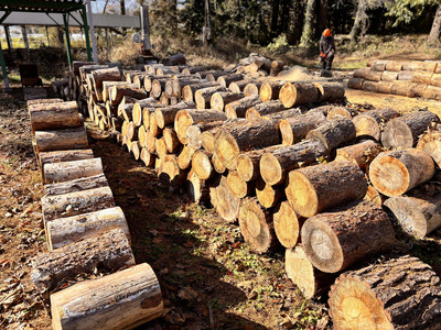 信州伊那谷産　松の薪　（焚き付け用）1箱　4束入り　２５ｋｇ相当｜薪 25kg 松の薪 長野県 伊那市 キャンプ BBQ アウトドア【008-17】