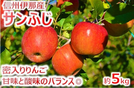 【012-19】信州のサンふじ　5キロ！（りんご・リンゴ・林檎）