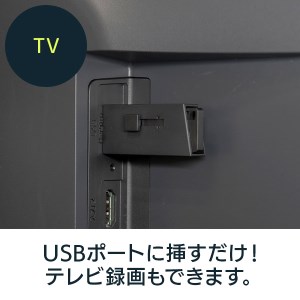 【020-28】ロジテック スティック型　高速SSD　250GB【LMD-SPBH025U3BK】