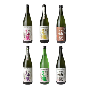 黒松仙醸 長野県酒造好適米 飲み比べ720ml×6本セット 純米吟醸 純米大吟醸 【040-01】