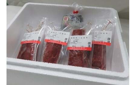 <信州伊那谷の食文化>赤身馬刺しセット | 馬刺し 赤身 ロース タレ付き 鮮馬刺し 馬刺し 馬刺 長野 信州 馬肉 お肉 刺身 冷凍 真空パック 小分け 送料 無料 伊那 信州【014-07】