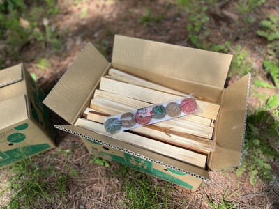 薪 焚き付け用 焚付 信州産 焚き付け用 薪 カラフルでコロコロした 着火剤 付き（6個入）約6kg （約3kg×2箱） 伊那市 キャンプ BBQ アウトドア【006-10】