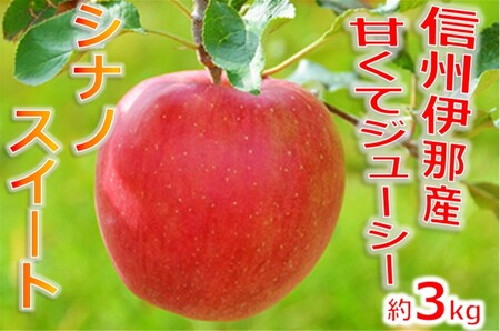 【009-11】信州のりんご　シナノスイート　約3キロ　信濃三兄弟の一つ（りんご・リンゴ・林檎）