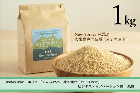 【009-08】　【幻の玄米】　自然栽培　カミアカリ　玄米　1kg