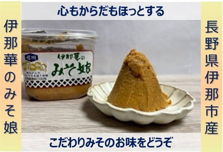 味噌 伊那華のみそ娘 みそ 800g×2個セット｜味噌 みそ 調味料 伊那 いな 長野県 ふるさと納税 大豆 お土産【009-41】